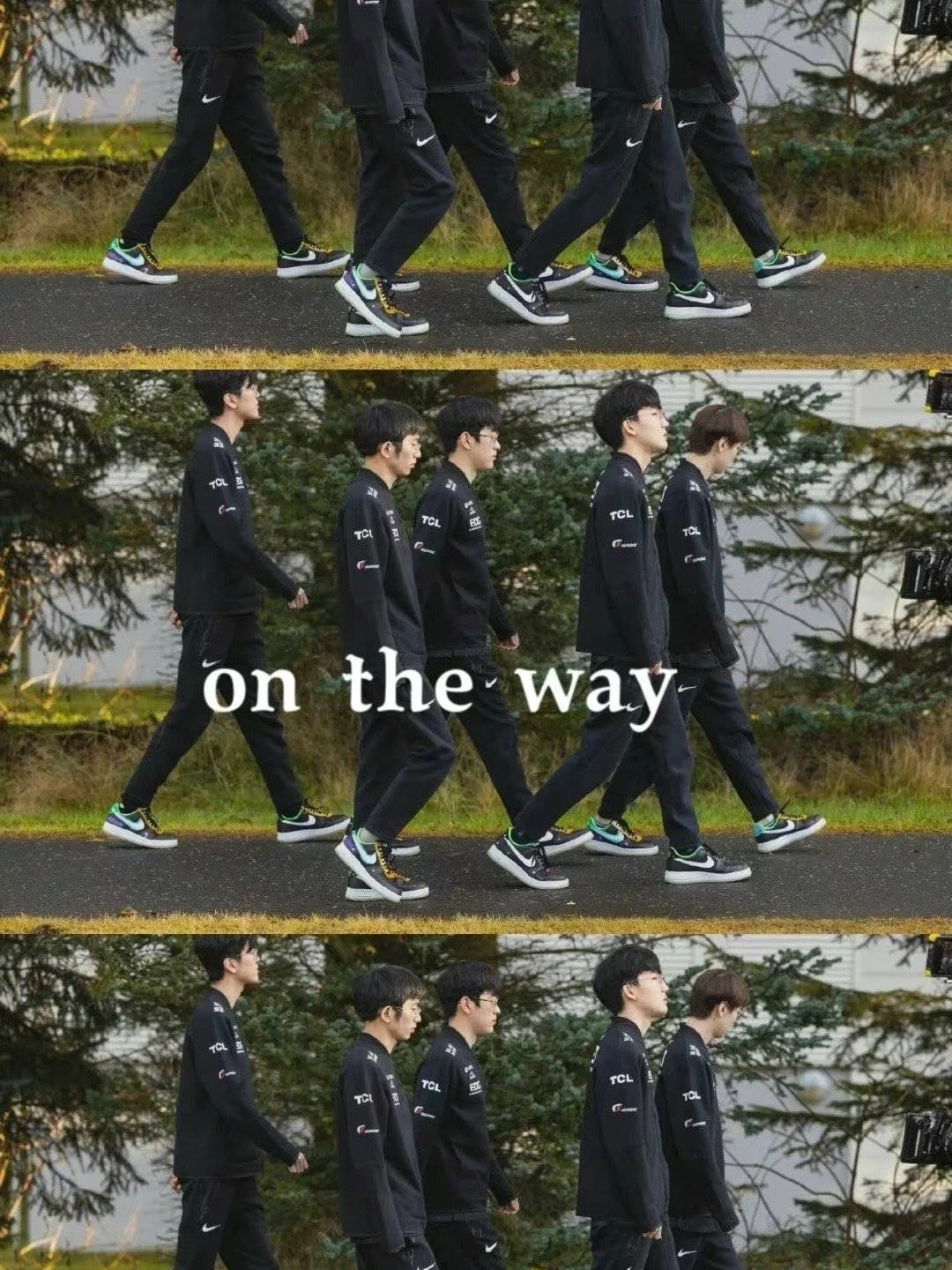  Scout迎来十五赛季高光表现，湖人球迷沸腾！